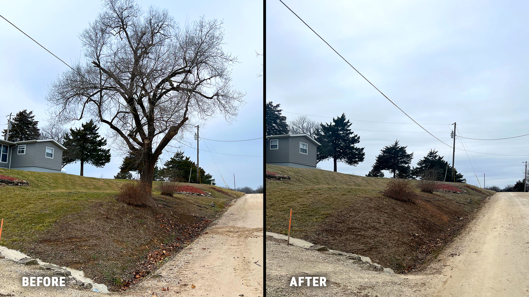 Before-After Tree Removal