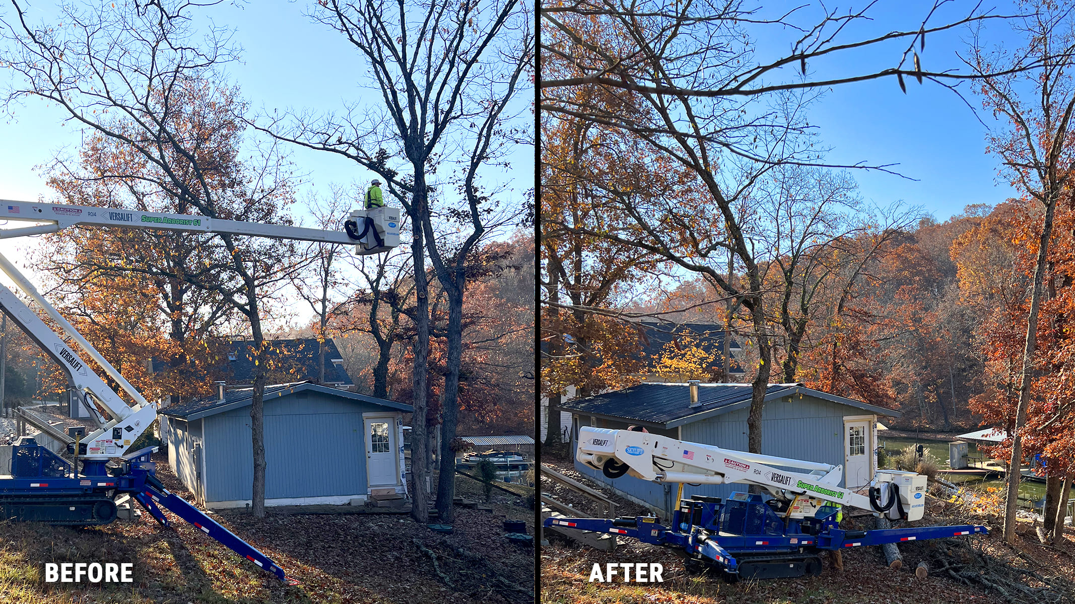 Before-After Tree Removal